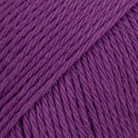 11 Violetti Uni